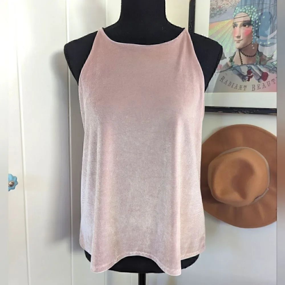 Aqua Sleeveless Rose Quartz Pink Velvet Top M Fairy Coquette Girl Whimsigoth